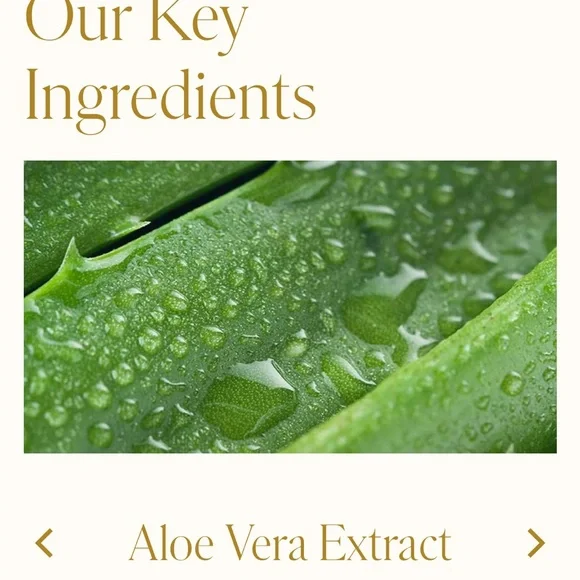 WEN  Summer Honey Peach Cleansing Conditioner 16oz New Read description - Picture 7 of 12